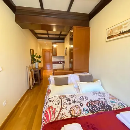 Lejlighed Plaza Mayor 19-precioso Estudio Unico En *