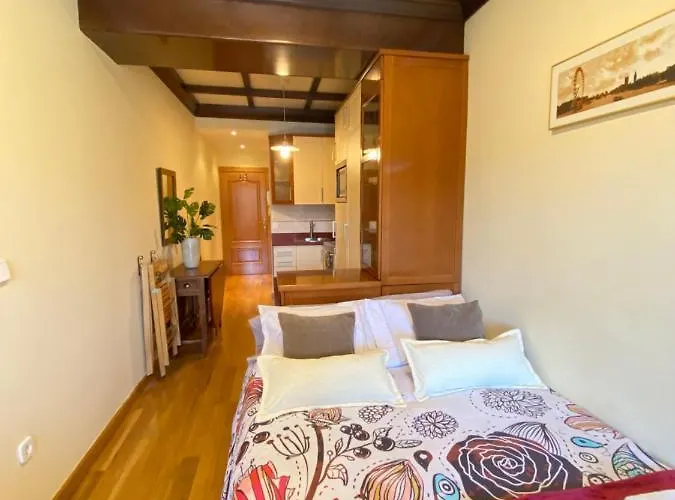 Apartamento Plaza Mayor 19-precioso Estudio único En *