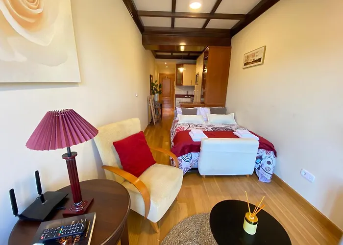 아파트 Plaza Mayor 19-precioso Estudio Unico En